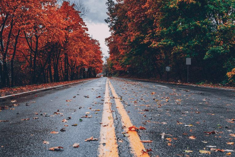 Autumn road leaves