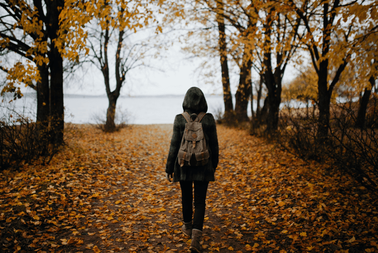 Autumn walk in forest